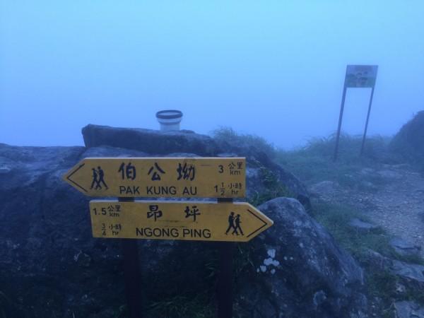 湖北医药学院专升本临床医学分数游戏画面